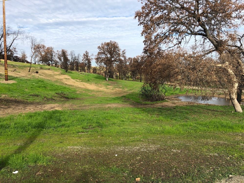 Salt Creek Commercial Center: 4466 Eureka Way, Redding, CA 96001